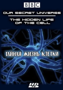 Фильм Внутренняя вселенная: Тайная жизнь клетки (2012) Фильм Внутренняя вселенная: Тайная жизнь клетки (2012)