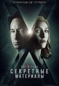 Секретные материалы (1993 - 2018)