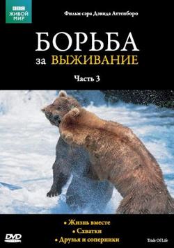 Фильм BBC: Борьба за выживание (1990) Фильм BBC: Борьба за выживание (1990)